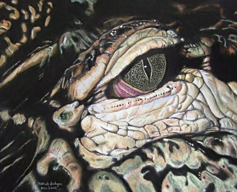 Night Eye, Crocodile