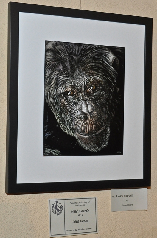 Wild Awards 2010 Gold Award WASA compressed