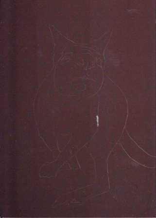 Swamp wallaby 01 small