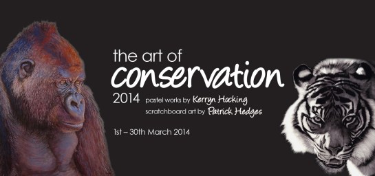 The Art Of Conservation DL 01