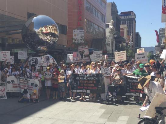 1525367_4628118837146_391361504911315142_n