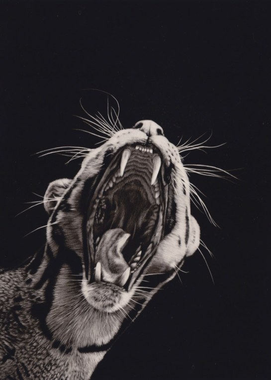 Clouded leopard diptych 01_855x1200
