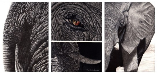 Elephant triptych_1600x762