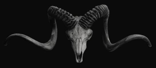 13055542_10208943475414999_2942014525874585034_n