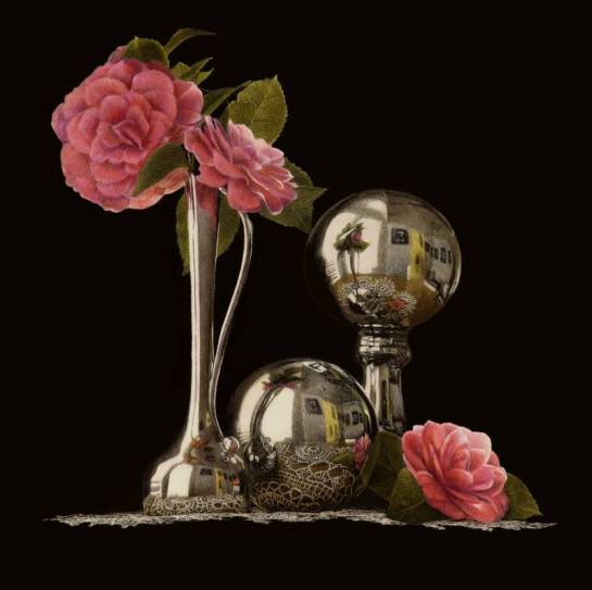 13319894_10209258243964016_2687672194520436695_n